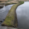 One tidal waterway divides around a moss-covered stone island into a narrow fast branch and a broad calm branch.