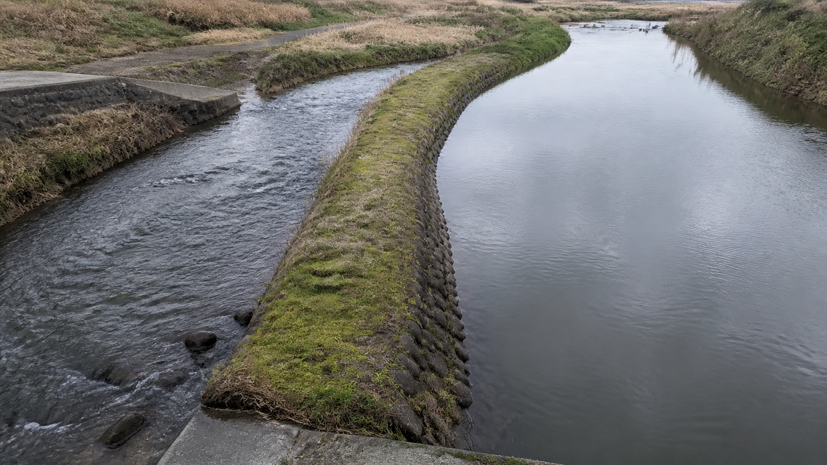One tidal waterway divides around a moss-covered stone island into a narrow fast branch and a broad calm branch.