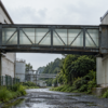 A weathered enclosed steel-and-glass bridge connects two separately designed industrial buildings after rain.