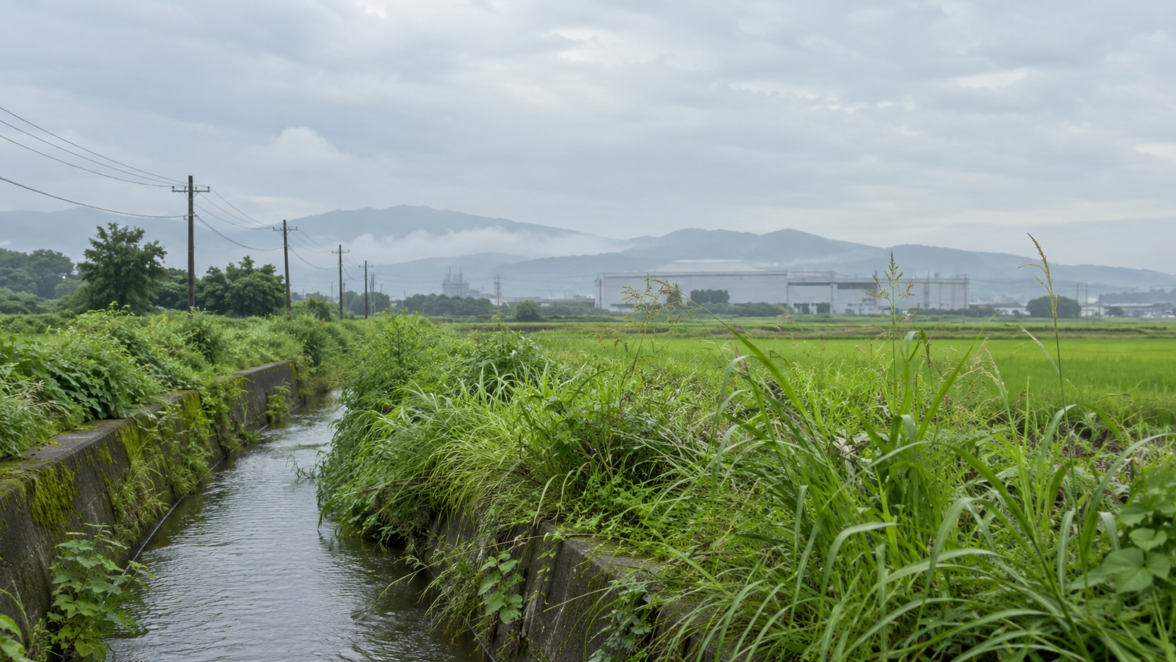 An irrigation channel and grasses lead toward a distant unbranded industrial building under an overcast sky.